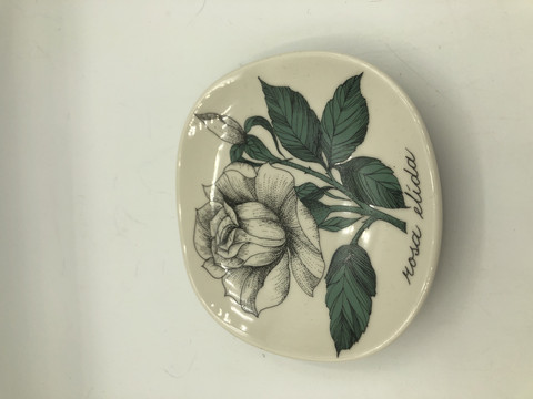 Botanica wall plate white rose