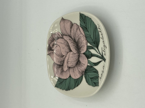 Botanica wall plate Rosa Elizabeth