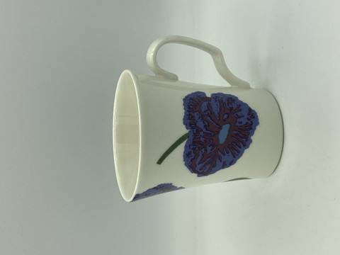 Illusia mug
