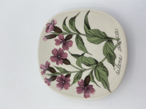 Botanica wall plate Red campion