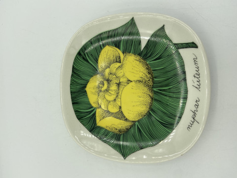 Botanica wall plate Yellow water lily