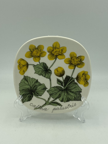 Botanica väggtavla Kabbeleka