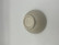 Sointu sokerikko, beige