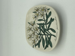 Botanica wall plate Wild Rosemary