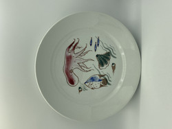 Aquarium plate