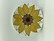 Aurinkoruusu plate