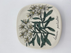 Botanic wall plate Marsh tea