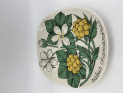 Botanica seinälautanen Lakka