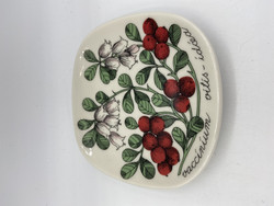 Botanica seinälautanen Puolukka