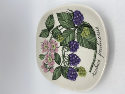 Botanica seinälautanen Karhunvadelma