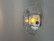 Apollo lantern