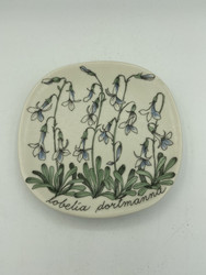 Botanica väggtavla Notblomster