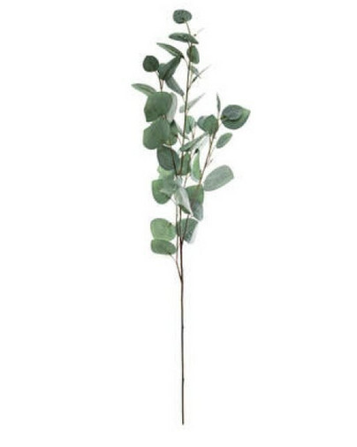 Aidonnäköiset vihreät eukalyptus-kasvin oksat, 92cm