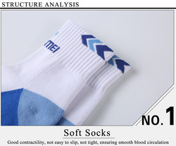 Sport Sock AS-101 blue