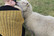 Jalowilla -huivi (100% kotimainen lampaanvilla)