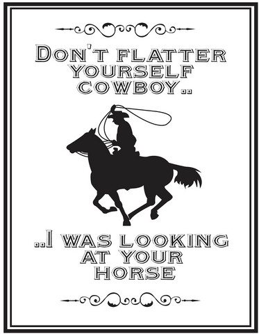 Metallikyltti Don't flatter yourself Cowboy