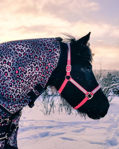 Globus Suomi bling-riimu, pinkki