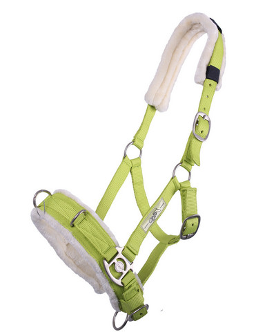 Kapsoni QHP, lime