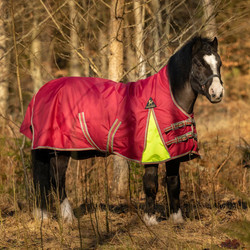 Globus Tarzan sadeloimi 0 g, koot 125-165 cm