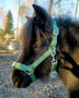 Wahlsten turvalta avattava nylonriimu vihreä, pony-cob