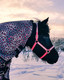 Globus Suomi bling-riimu, pinkki