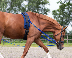 Sivuohjat QHP, lime