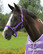 Riimu QHP Slide, violetti