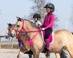 QHP Bareback Pad Ratsastushuopa, pinkki