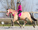 QHP Bareback Pad Ratsastushuopa, pinkki