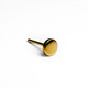 PVD gold disc