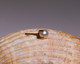 PVD pearl
