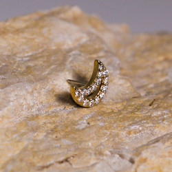 Gold lunar