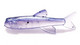 Orka Small Fish 3, väri PJF40 6kpl