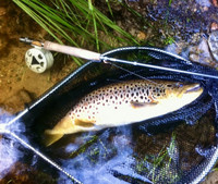 Perhokalastusretket - Flyfishing trips