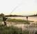 Perhokalastusretket - Flyfishing trips