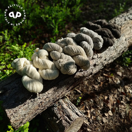 Mitä ChatGPT vastasi kun kysyin siltä suomalaisen villan hyödyistä ja haitoista?