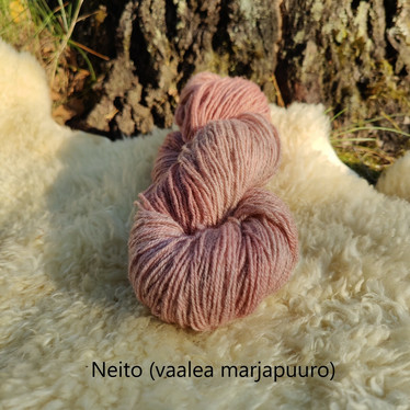 Willawanttuut Pentti sukkalanka (240m/100g)