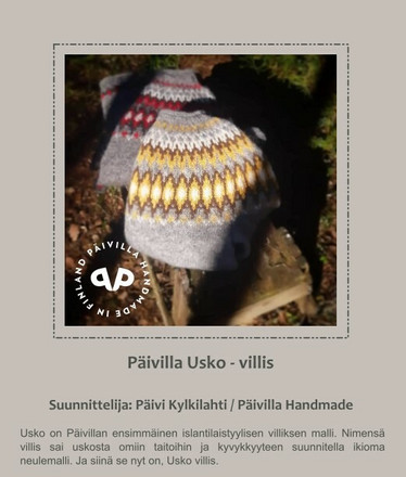 Päivilla Usko villis -  pikkuviallinen painettu ohje A5