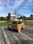 Kasvatusvaunu