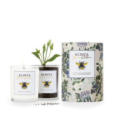 Botaniska kollegtion tuoksukynttilä 40h Bambu & Olivblomma