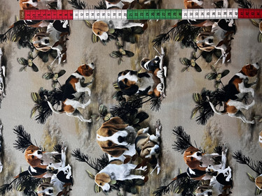 Beagle trikoo