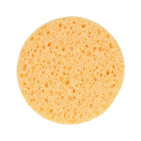 Rengöringssvamp Cellulosa