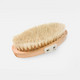 Dry Brush