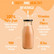 Golden Orange - Dehydrated Smoothie Powder