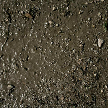 Terrains wet ground 250ML