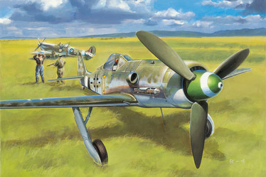 Focke-Wulf FW190D-13