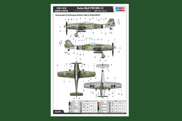 Focke-Wulf FW190D-13