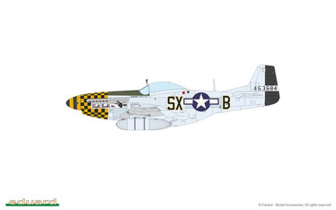 MIGHTY EIGHTH: 66th Fighter Wing