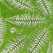 FERN 1/32 and 1/35