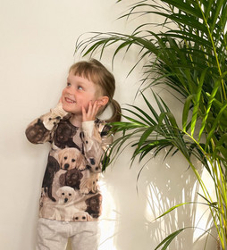 Mainelakeus Labradorit trikoo nousi lapsen suosikiksi